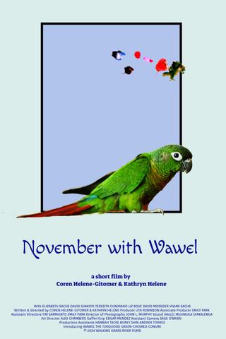 November with Wawel poster