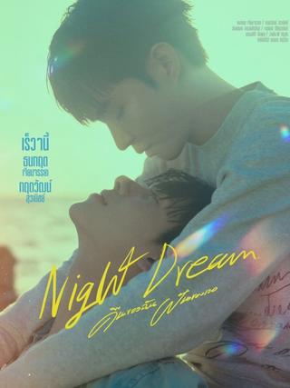 Night Dream poster