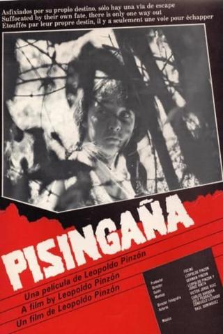 Pisingaña poster
