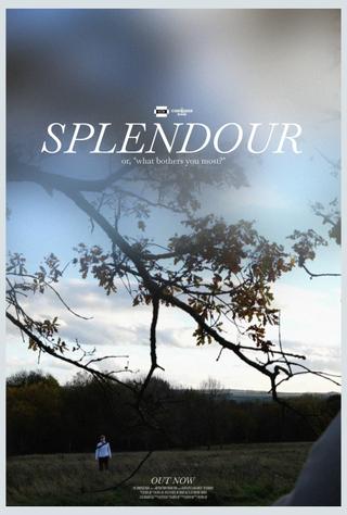 Splendour poster