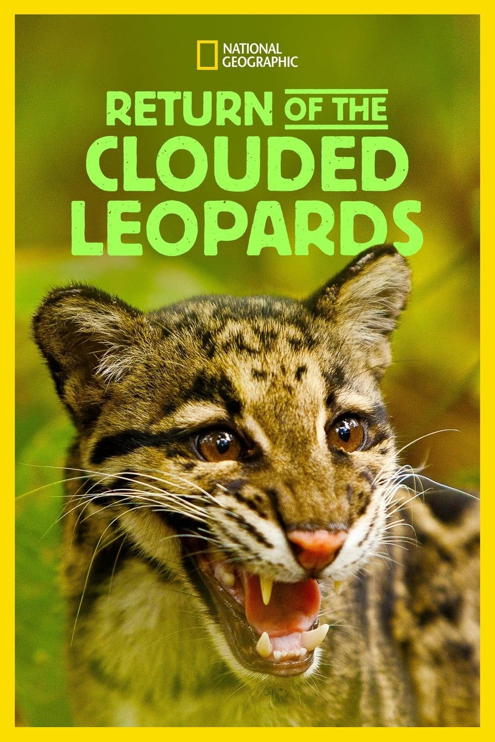 Return of the Clouded Leopards poster