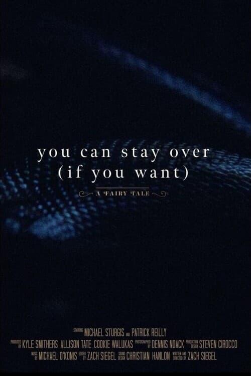 You Can Stay Over (If You Want) poster