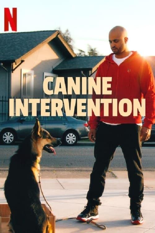 Canine Intervention poster