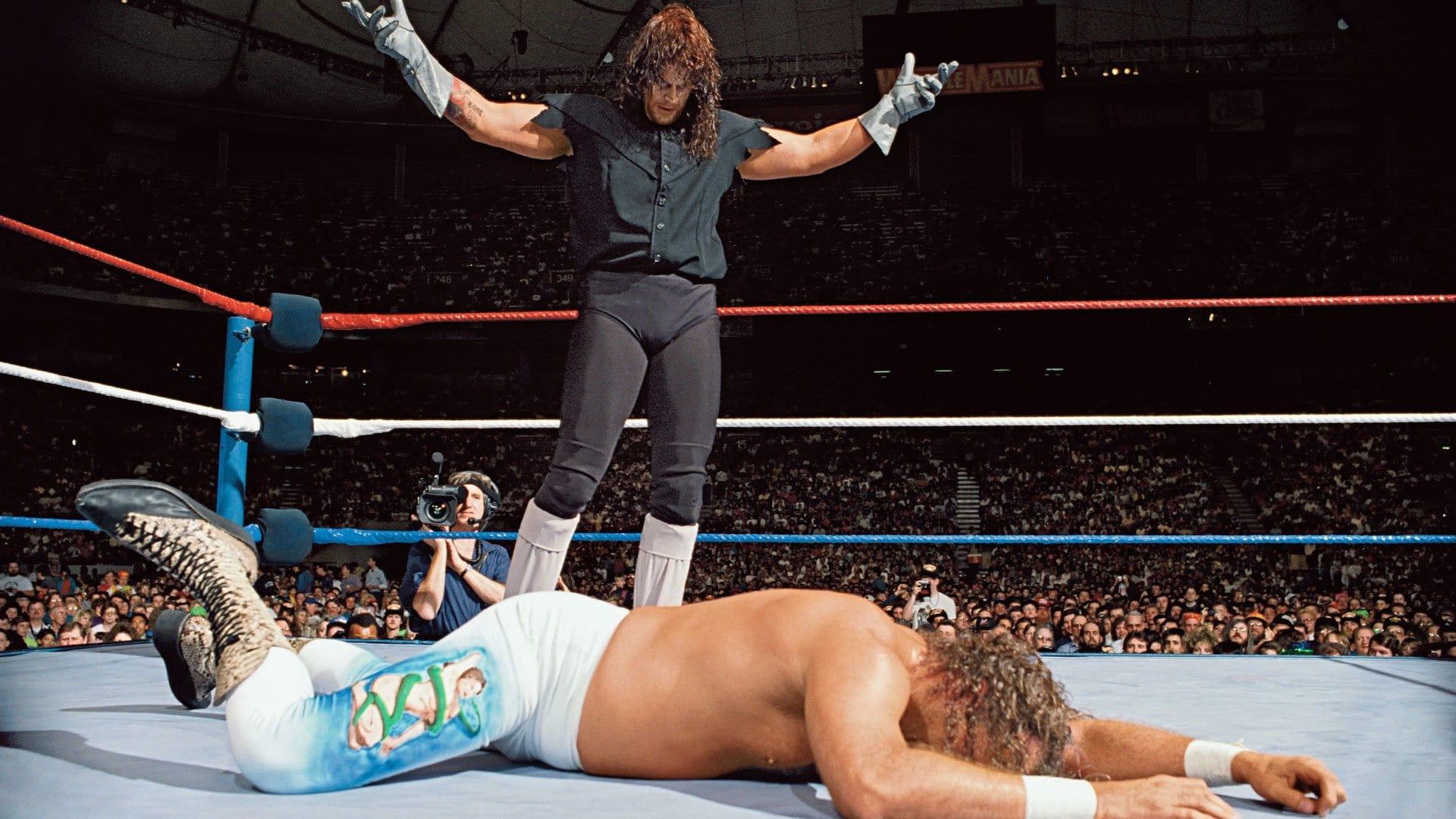 WWE WrestleMania VIII backdrop