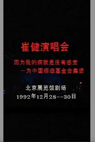 崔健 - 1992年北展演唱会 poster