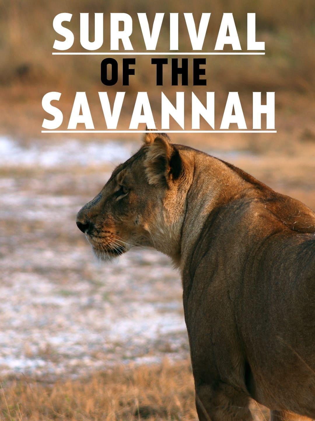 Survival on the Savannah poster