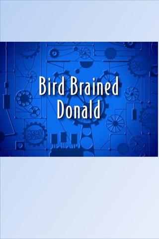 Bird Brained Donald poster