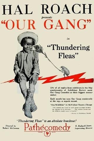 Thundering Fleas poster