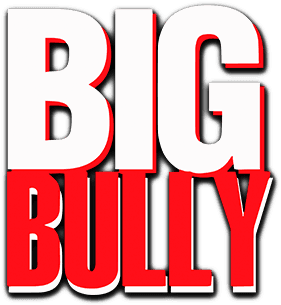 Big Bully logo