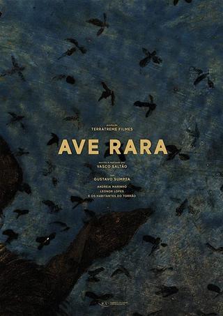 Ave Rara poster
