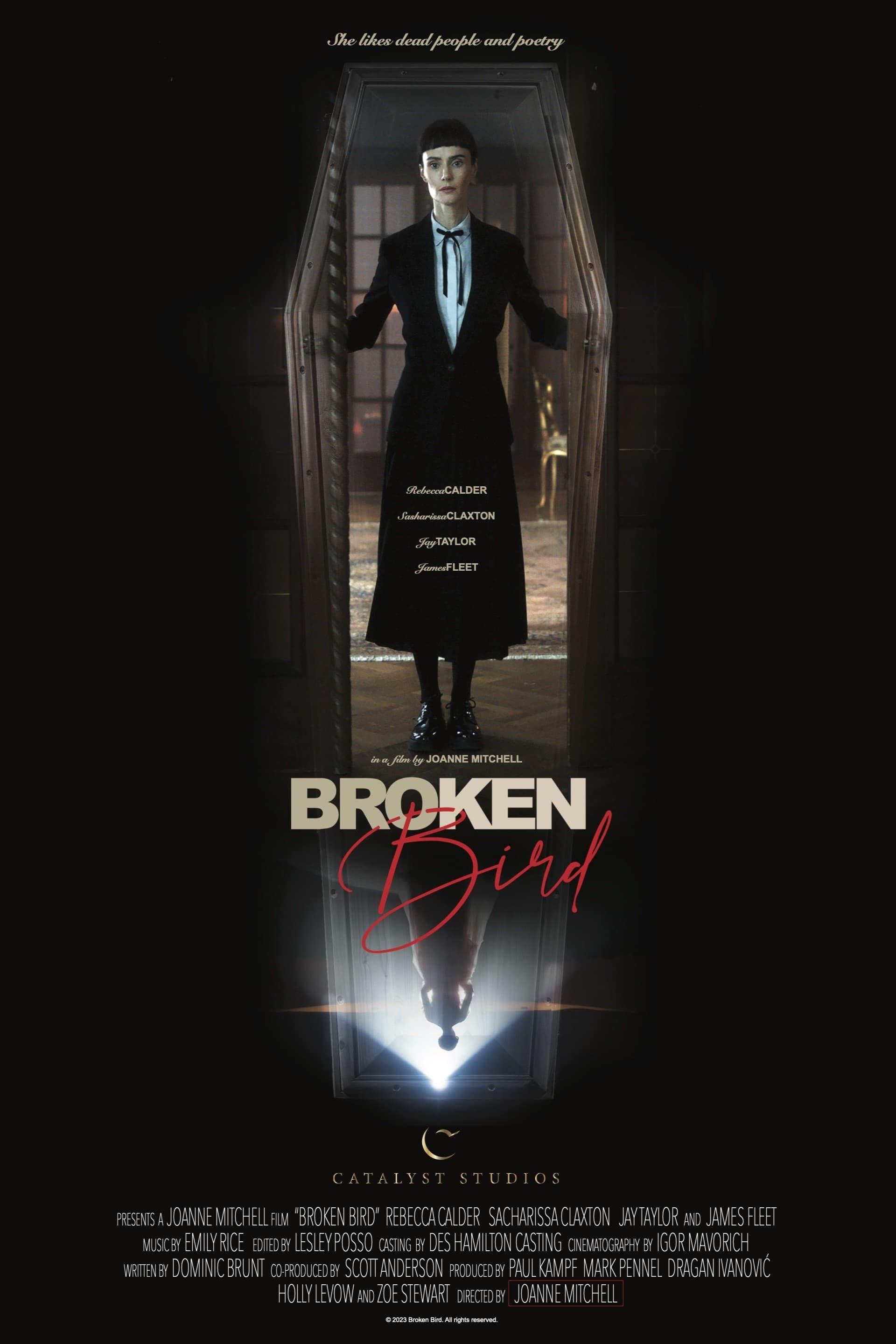 Broken Bird poster