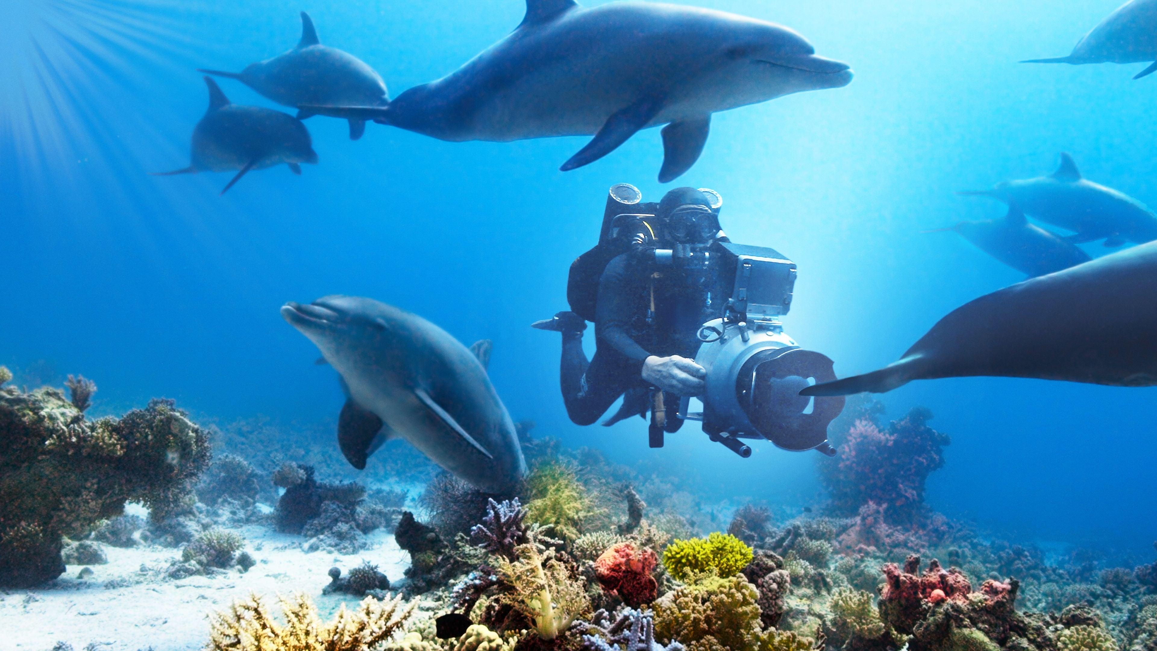 Céline Cousteau backdrop