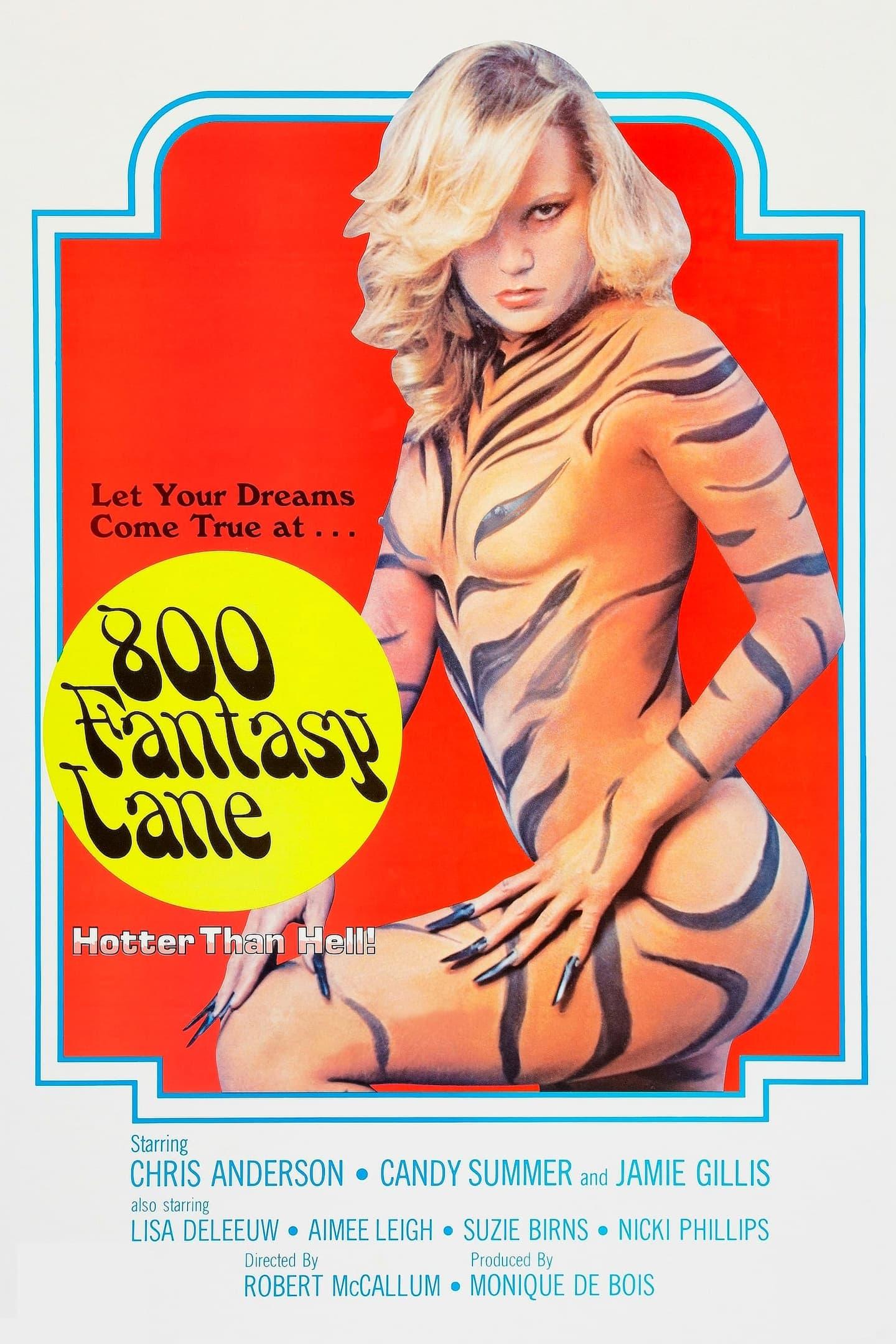 800 Fantasy Lane poster