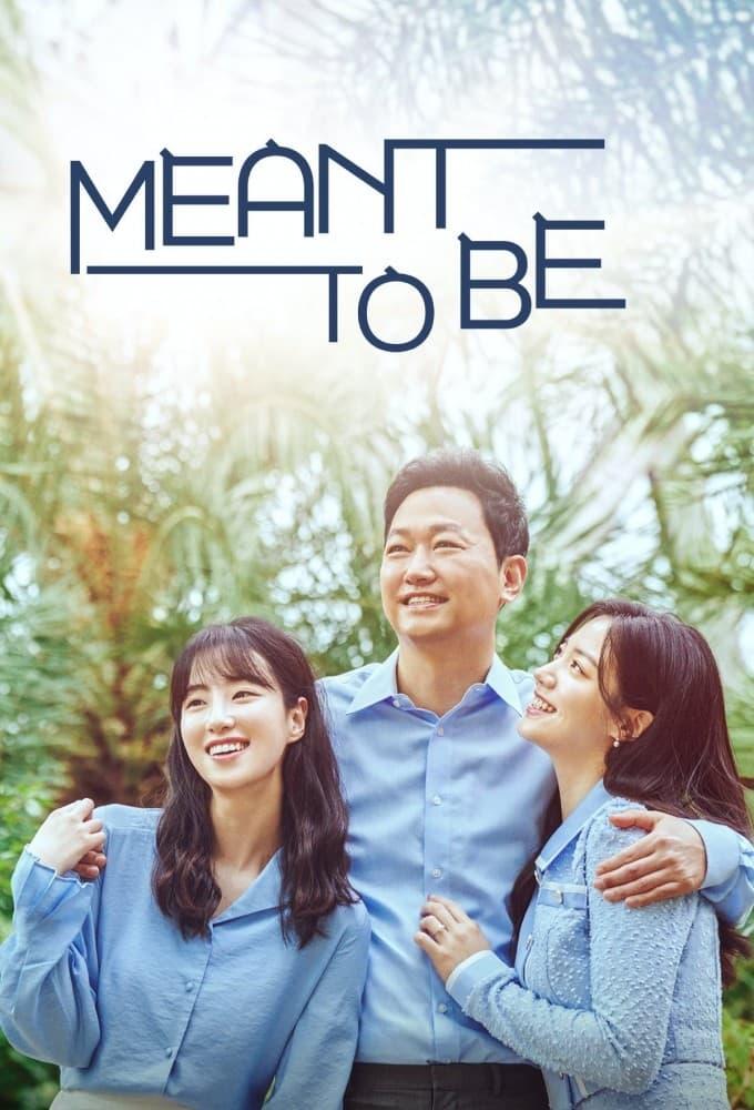 Meant to Be poster