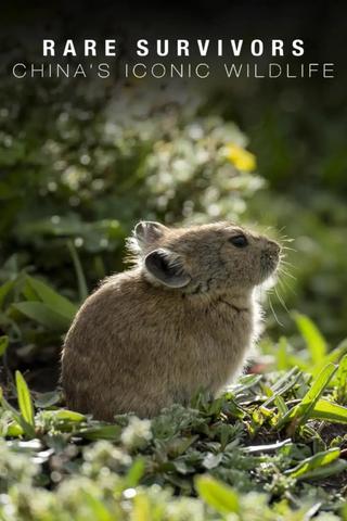 Rare Survivors China's Iconic Wildlife poster