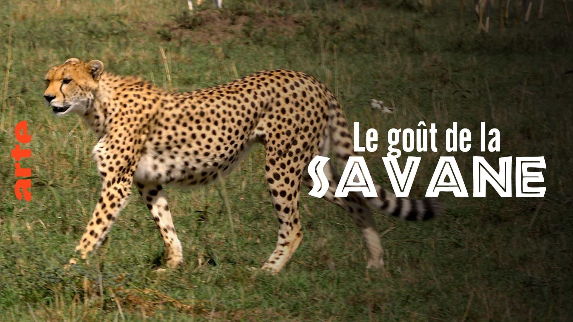 Le Goût de la savane : Herbivores et carnivores, festins croisés backdrop