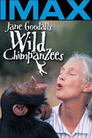 Jane Goodall's Wild Chimpanzees poster