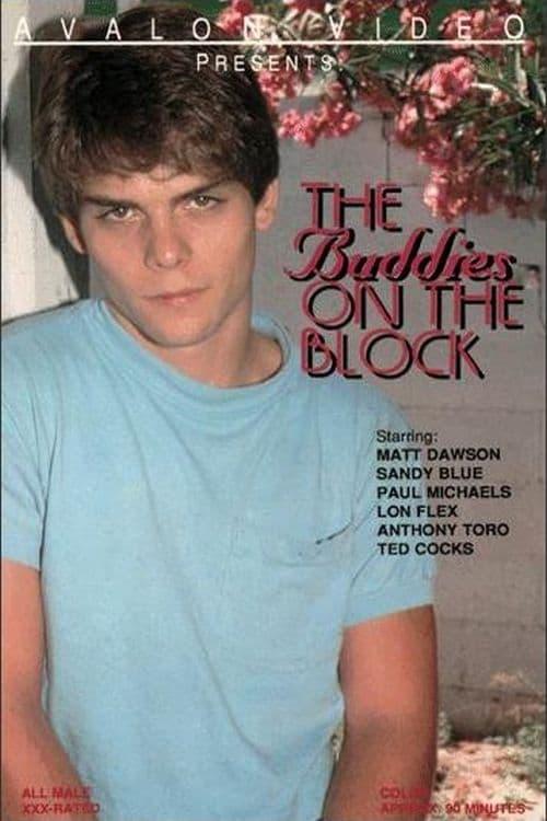 The Boys on the Block poster