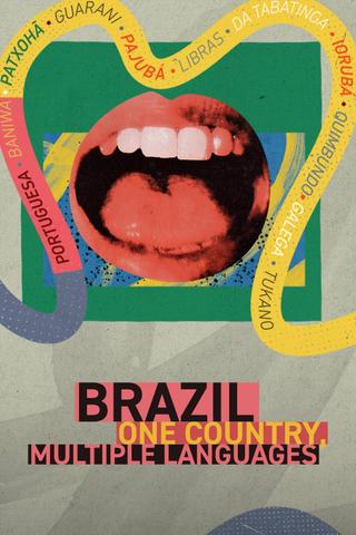 Brazil: One Country, Multiple Languages poster