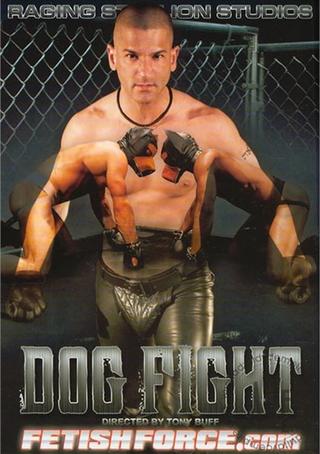 Dog Fight poster