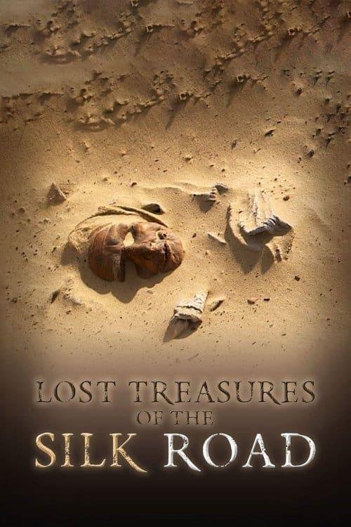 Lost Treasures of the Silk Road poster