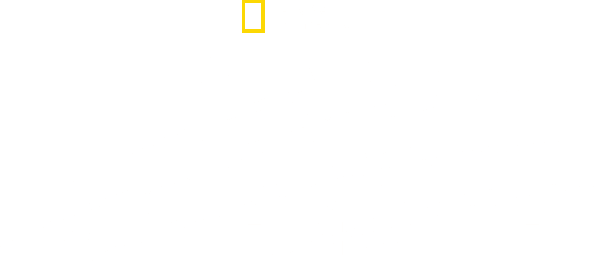 Dino Death Match logo
