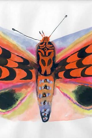Moth poster