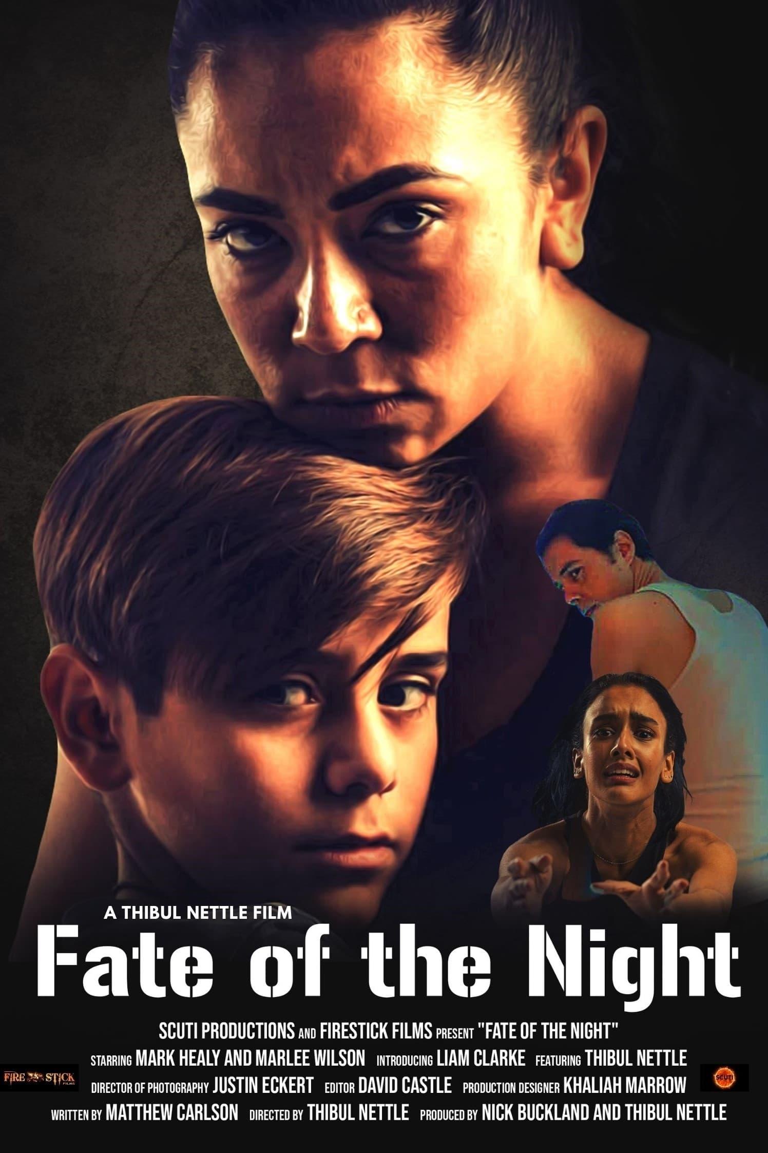 Fate of the Night poster