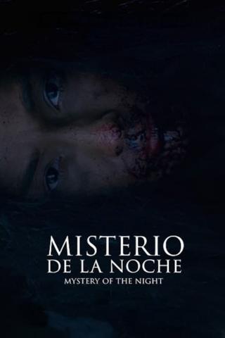 Mystery of the Night poster