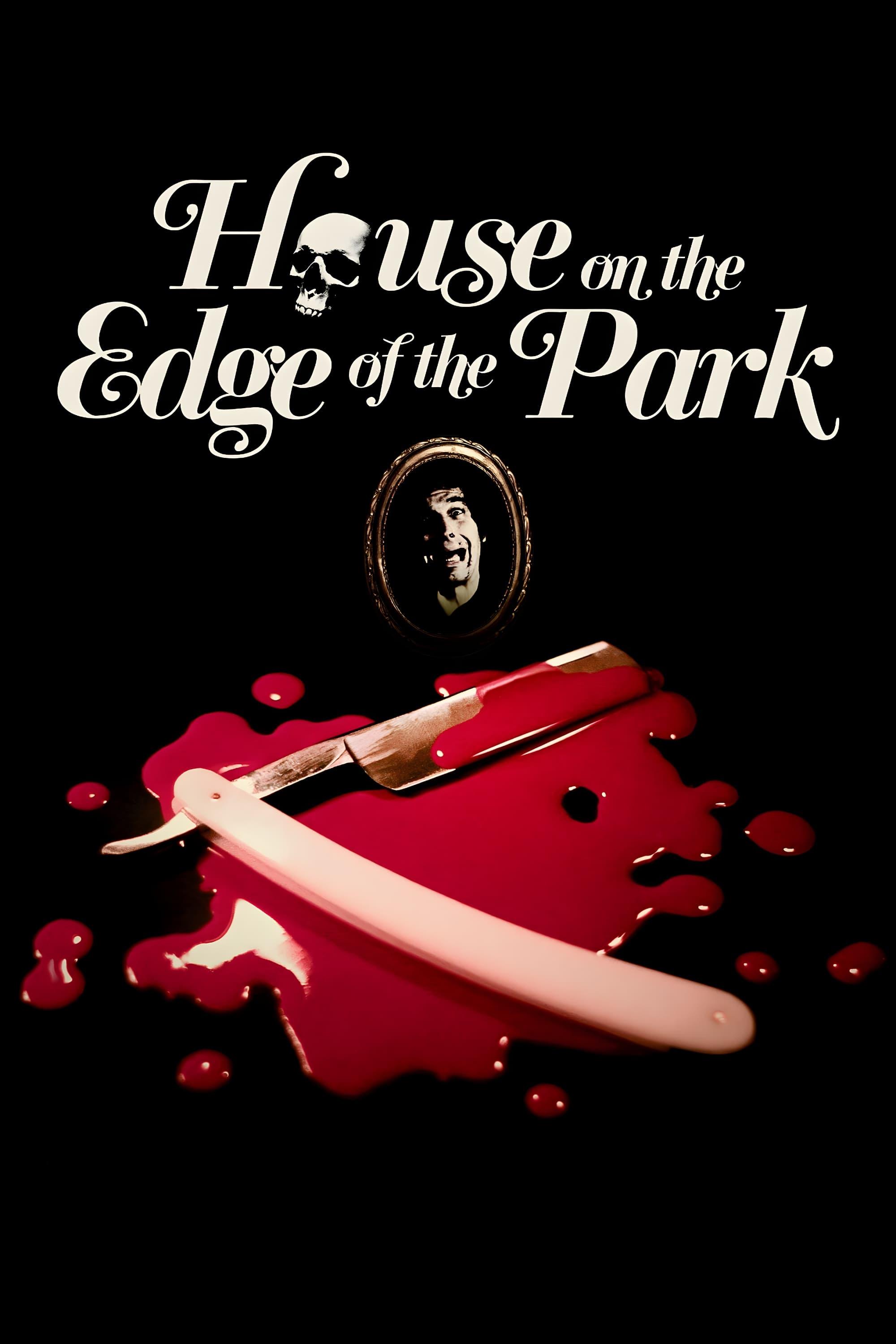 House on the Edge of the Park poster
