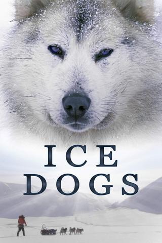 Ice Dogs: The Only Companions Worth Having poster