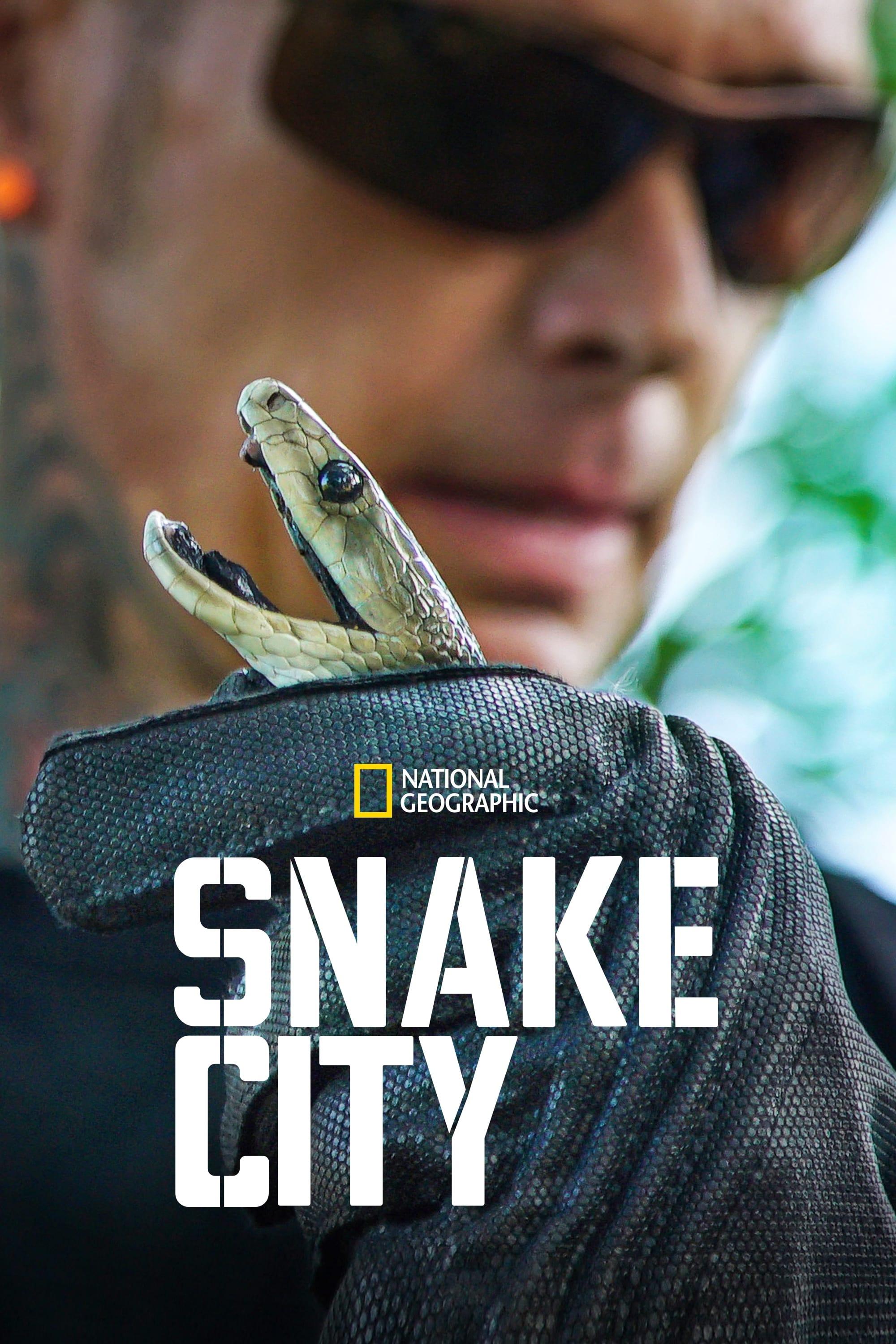 Snake City poster