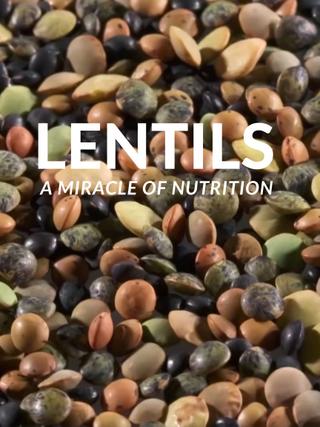 Lentils: A Miracle Of Nutrition poster