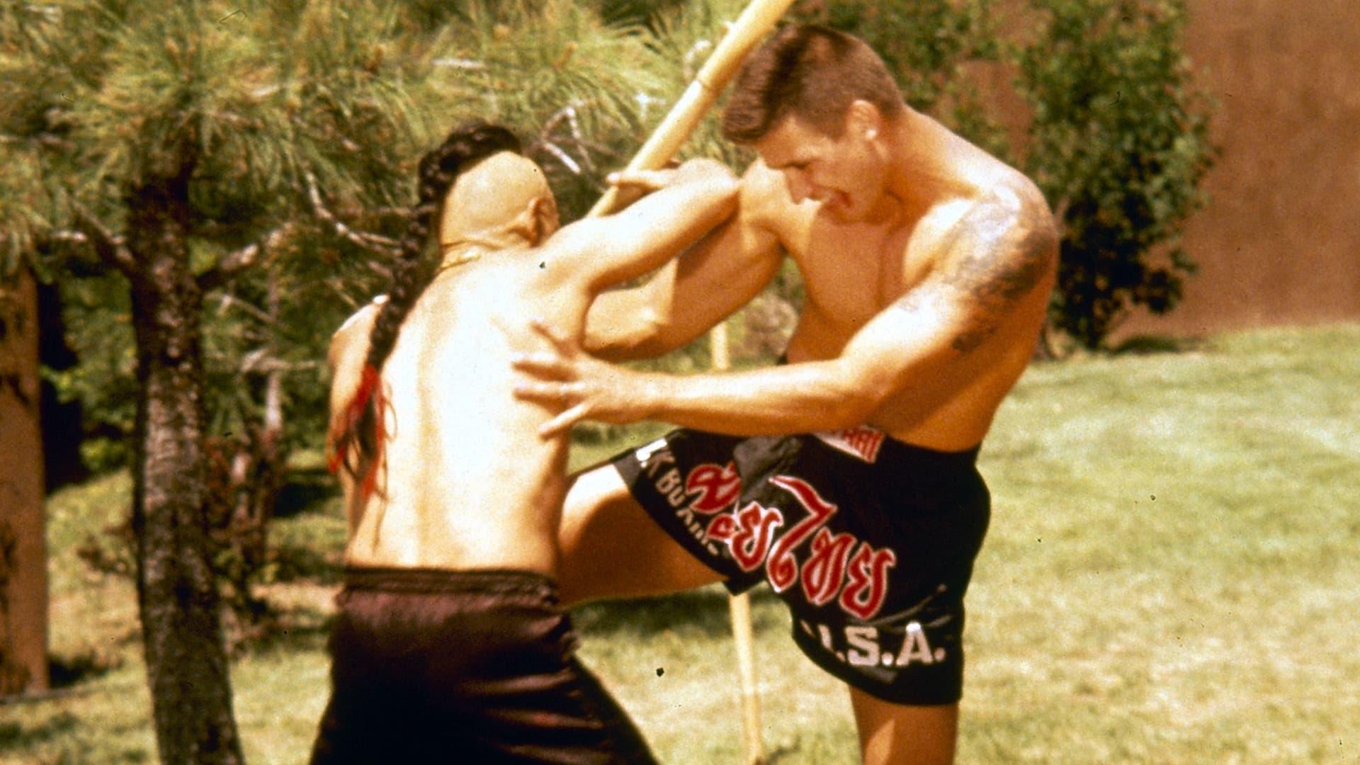 Kickboxer 4: The Aggressor backdrop