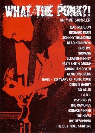 What the Punk - An MVD Sampler poster