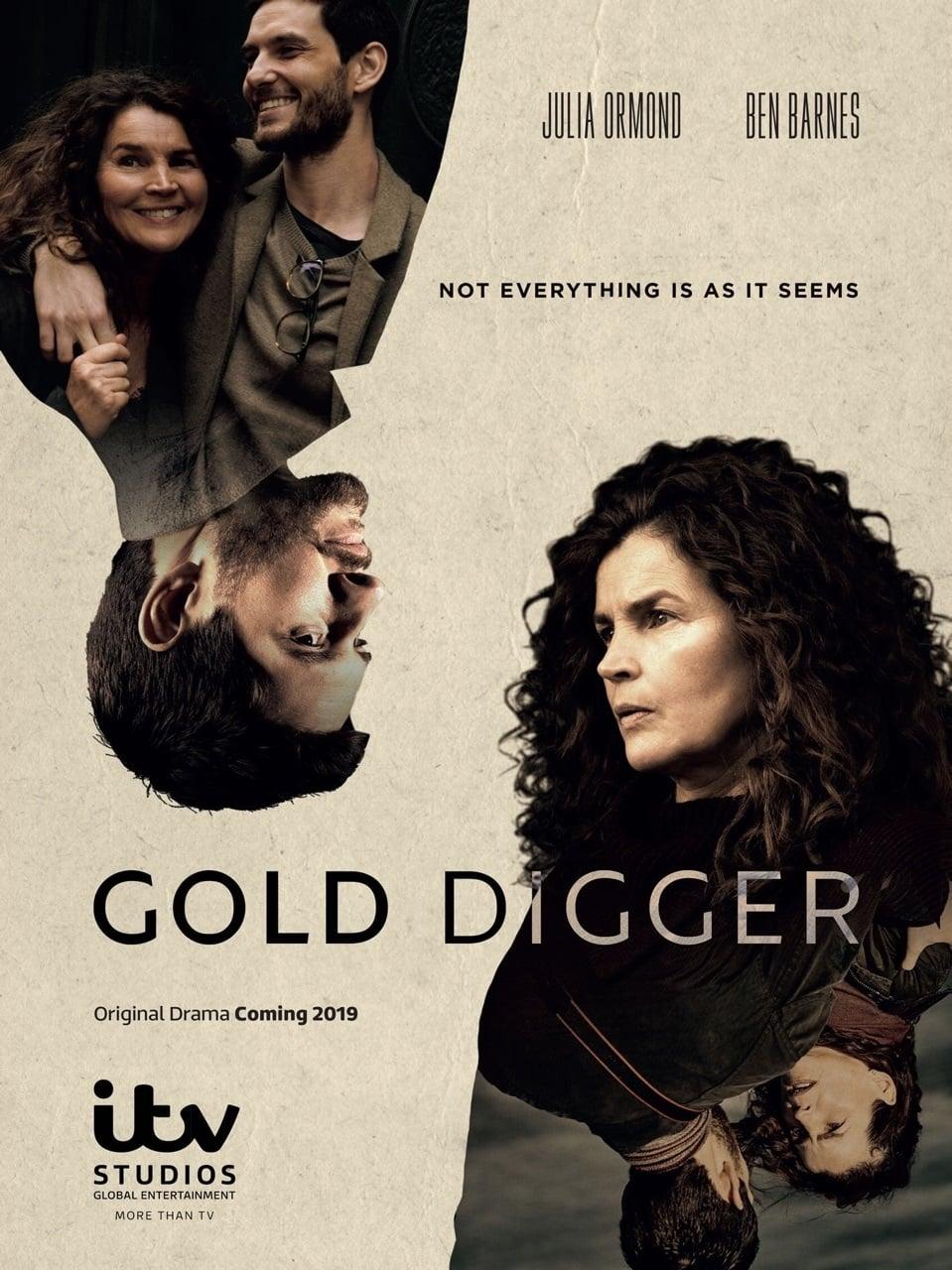 Gold Digger poster
