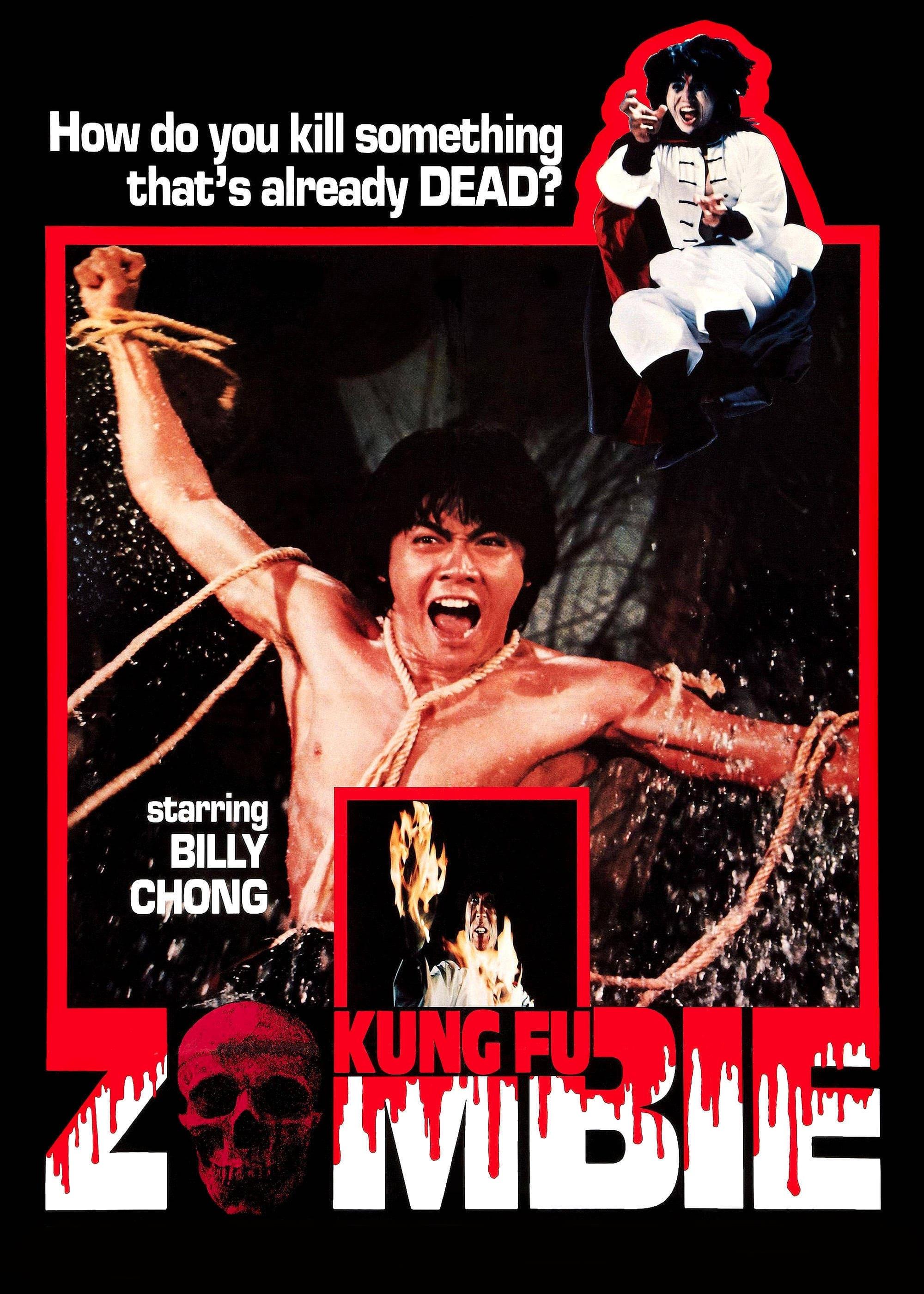 Kung Fu Zombie poster