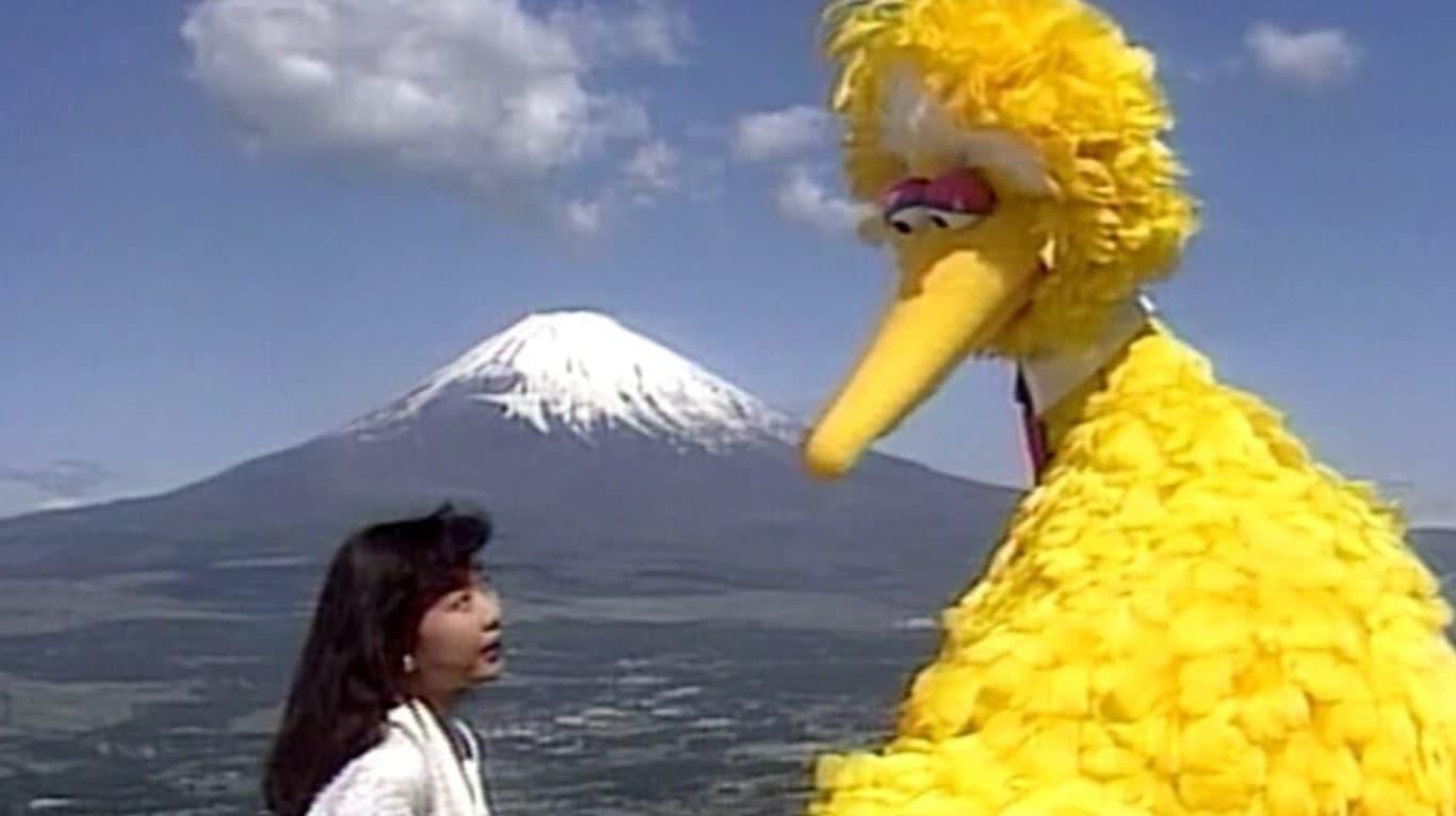 Big Bird in Japan backdrop