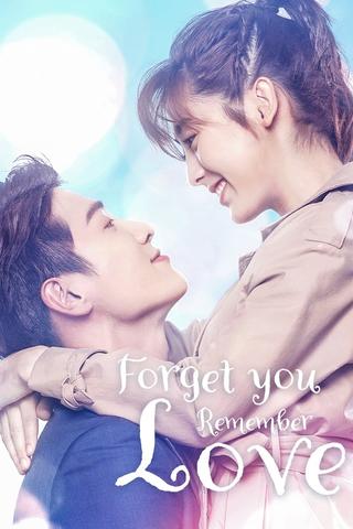 Forget You Remember Love poster
