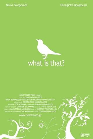 What Is That? poster