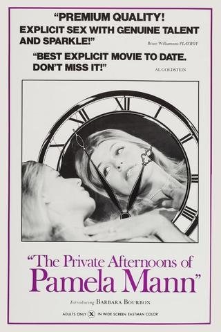 The Private Afternoons of Pamela Mann poster
