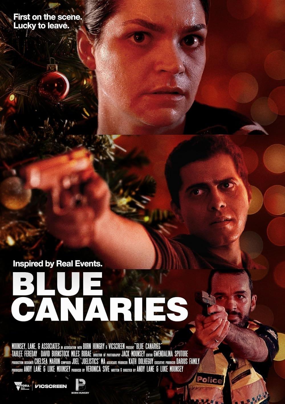 Blue Canaries poster