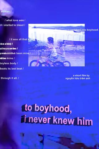 to boyhood, i never knew him poster