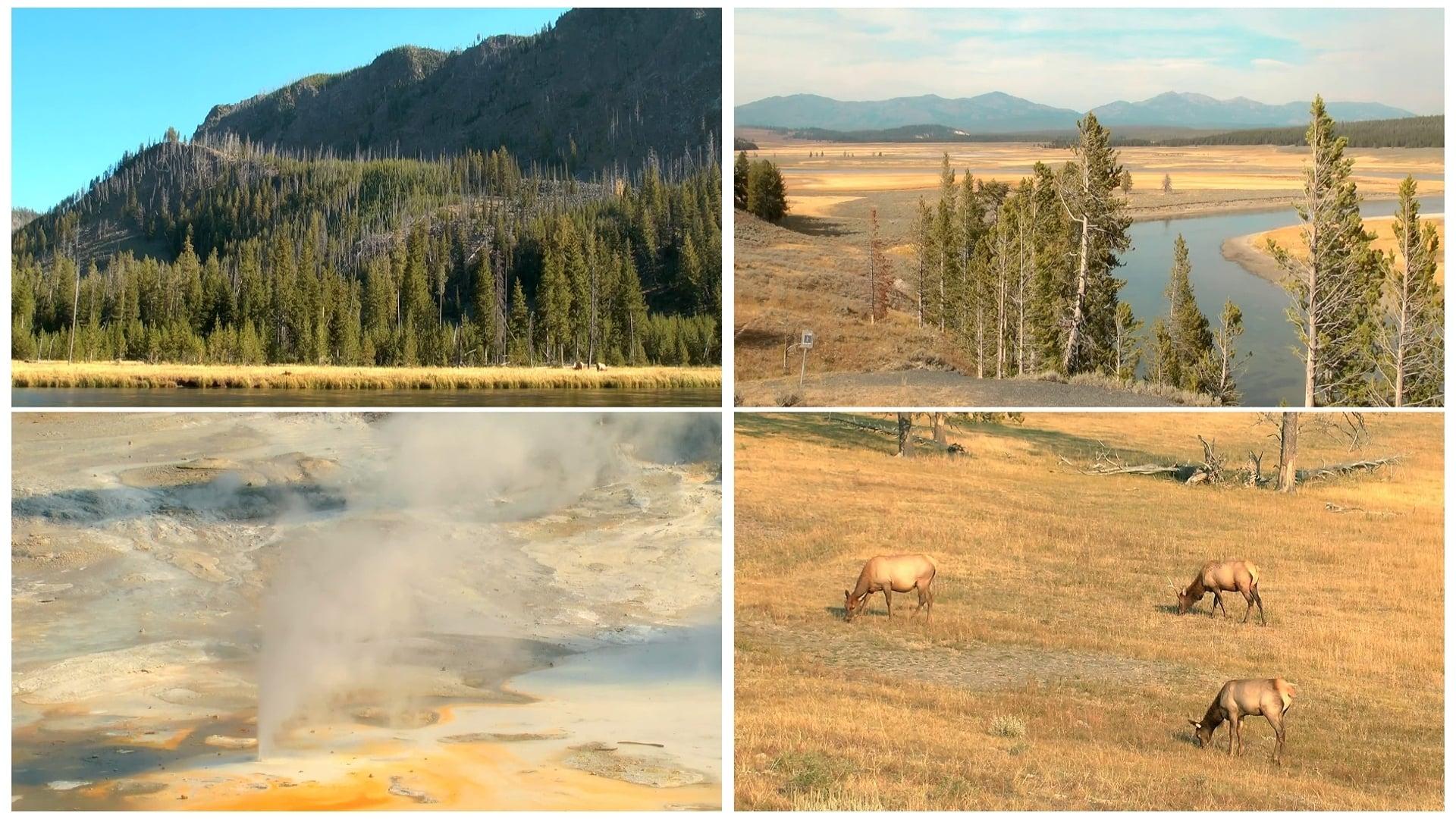 World Natural Heritage USA: Yellowstone National Park backdrop