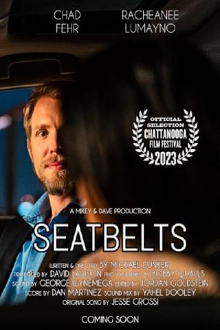Seatbelts poster