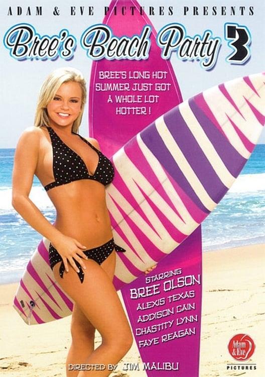 Bree's Beach Party 3 poster