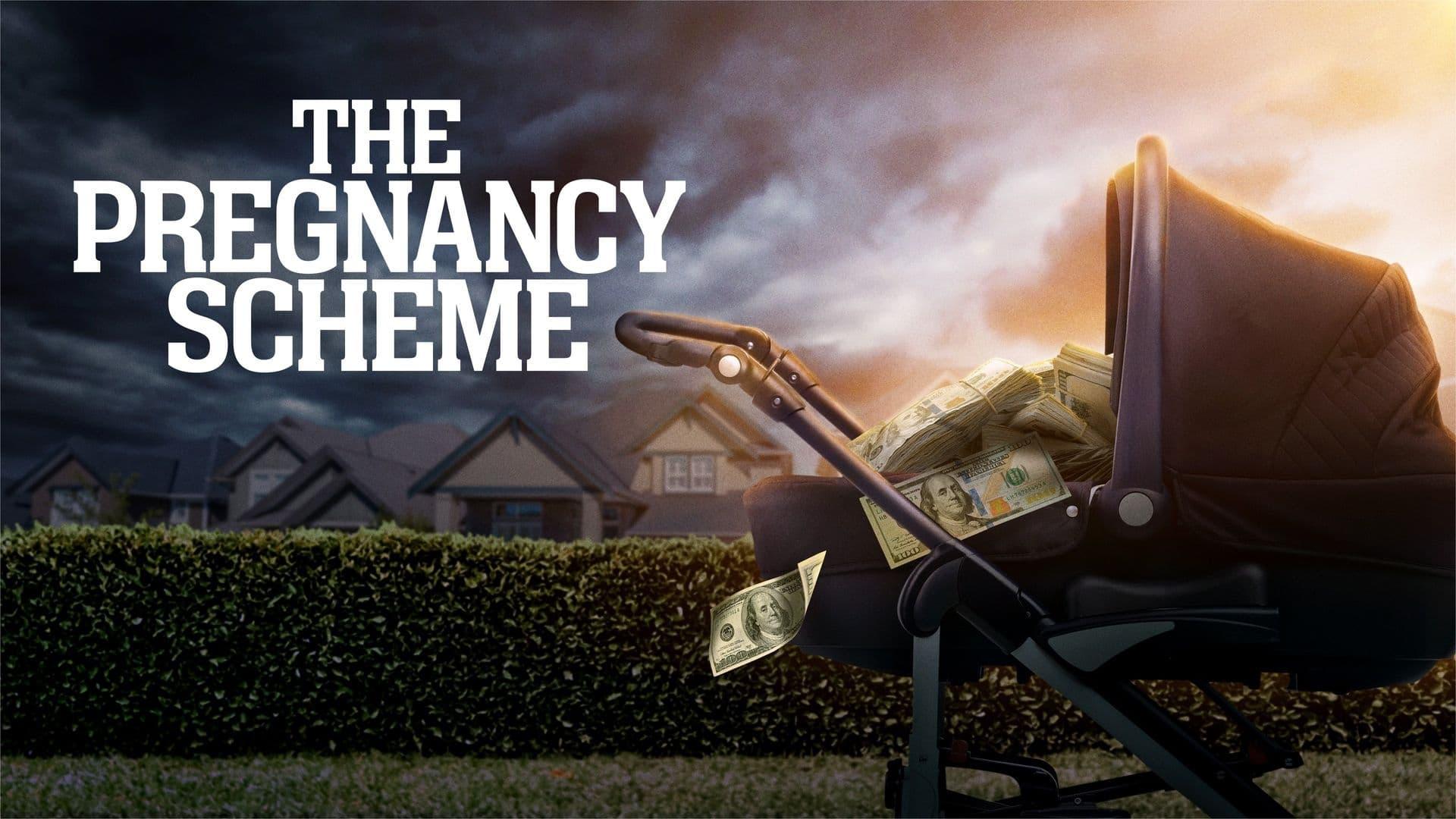The Pregnancy Scheme backdrop