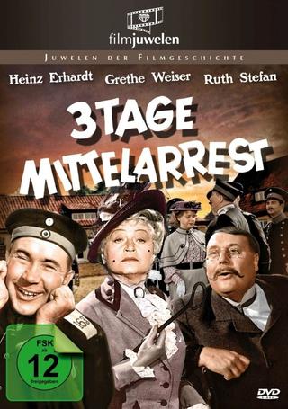 Drei Tage Mittelarrest poster