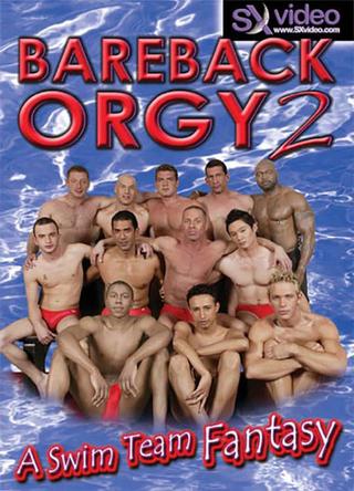 Bareback Orgy 2: A Swim Team Fantasy poster