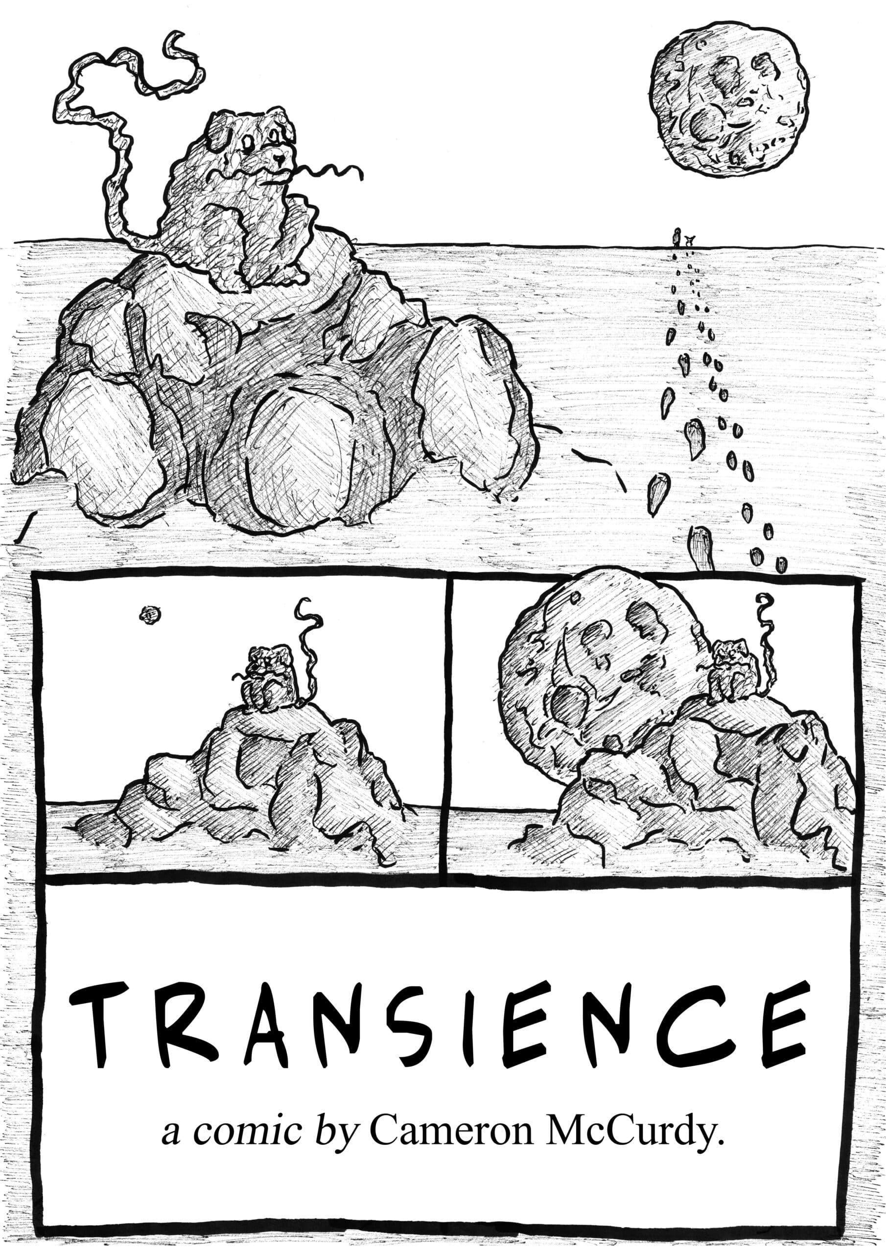 Transience poster